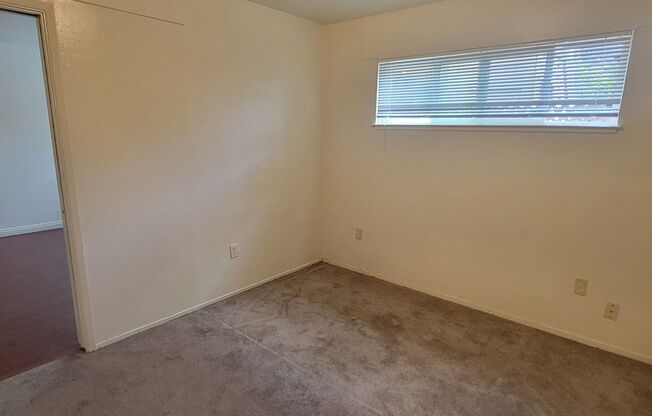 1 bed, 1 bath, $1,900, Unit 1