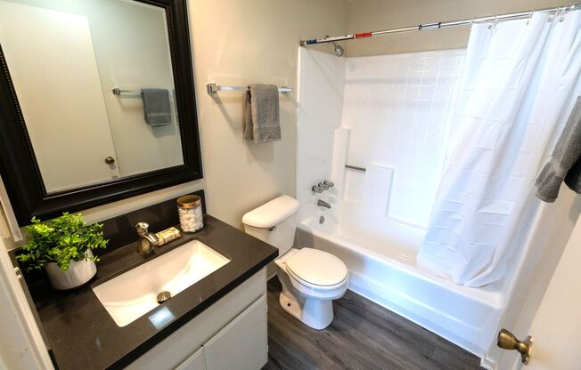 2 beds, 2 baths, 1,195 sqft, $3,698, Unit 202
