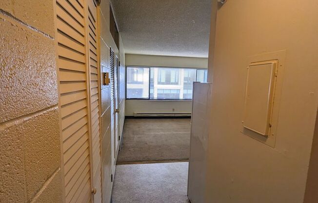 Studio, 1 bath, 302 sqft, $1,100, Unit 303