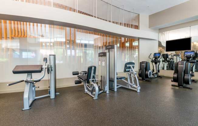 a gym with cardio equipment and weights on the floor