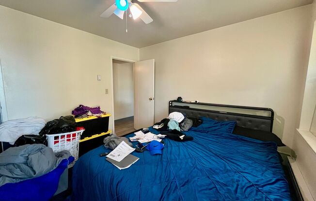 1 bed, 1 bath, $895, Unit 502