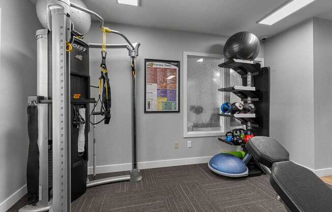 our gym is equipped with a variety of equipment for your use