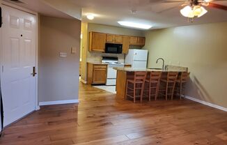 To Good to Be True, Efficiency!  Spacious Efficiency Condo with Fireplace, Hardwood Floors, Jetted Tub & MORE!