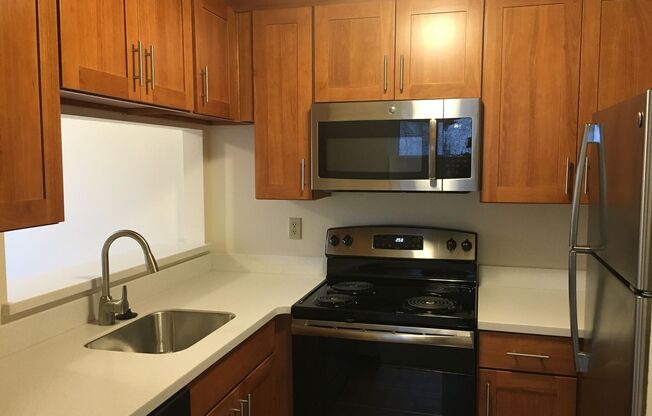1 bed, 1 bath, 650 sqft, $1,650, Unit A102