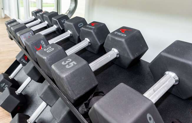 a large pile of dumbbells in a gym