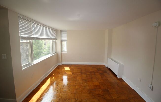 Studio, 1 bath, 389 sqft, $1,850, Unit 1845-712