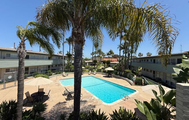 The Palms