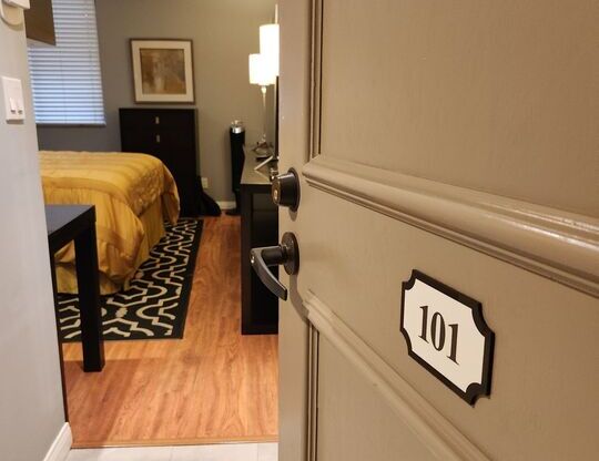 Studio, 1 bath, 450 sqft, $2,200, Unit 101