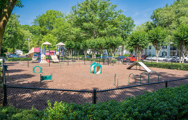 Fenced in Dog Park