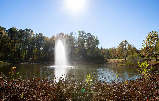 a fountain in the middle of a pond