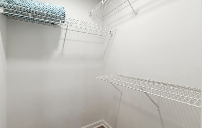 Walk-in Closet with Shelving