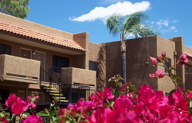Exterior of La lOmita Apartments in Tucson Arizona 7 2021