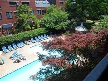 2 beds, 2 baths, 1,030 sqft, $3,800, Unit 304