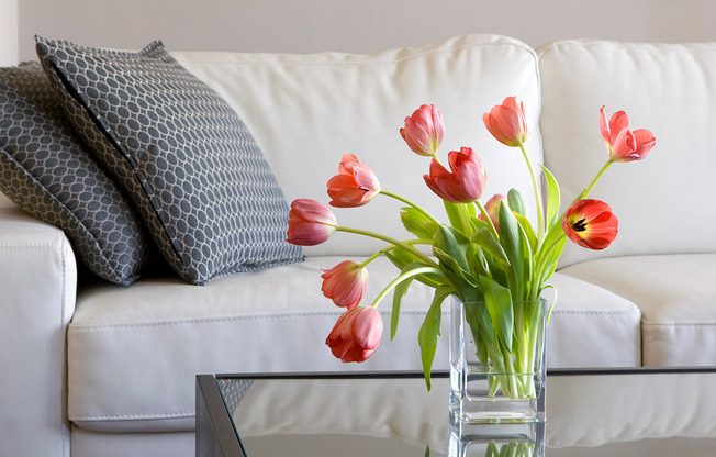 Home - North Hill Apartments - Tukwila, WA