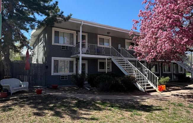 Updated 3-bedroom 1 bathroom in Littleton!