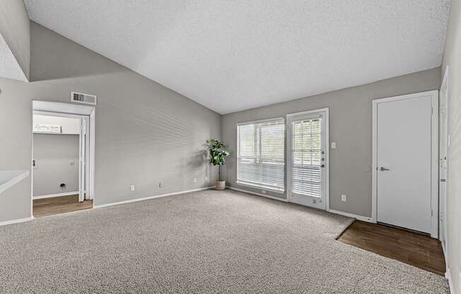 A room with a carpeted floor and a plant in a pot.