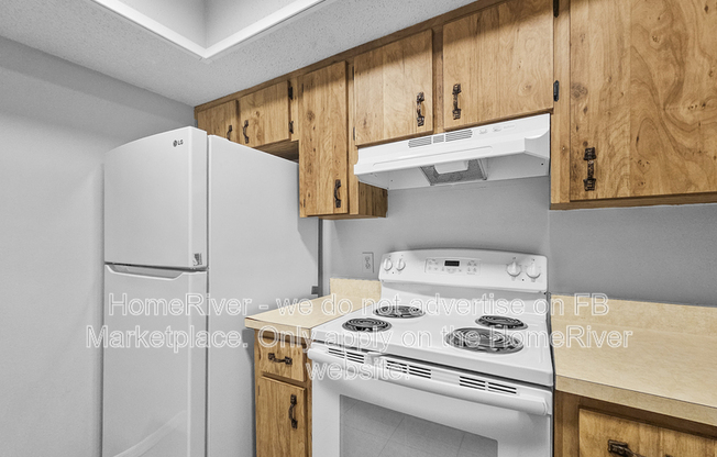 3205 BLOOMINGDALE VILLA CT
