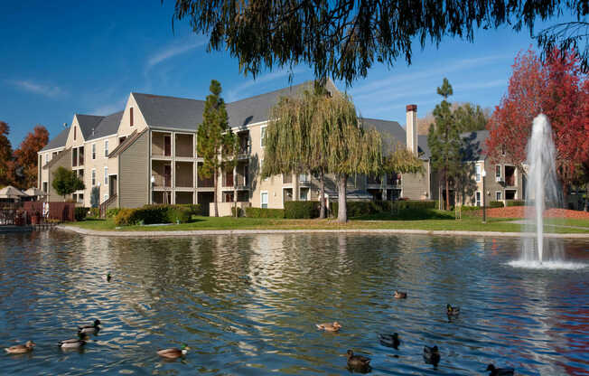Pond with View of Riva Terra Apartments at Redwood Shores