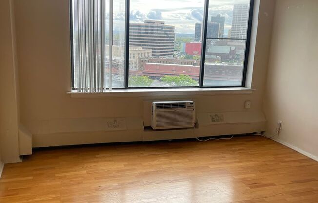 Studio, 1 bath, 400 sqft, $1,200, Unit 1020
