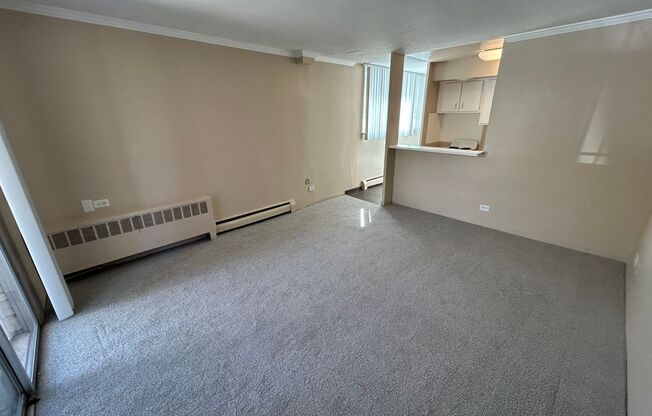 Studio, 1 bath, 424 sqft, $1,050, Unit 103