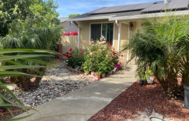 36376 SAN PEDRO DR