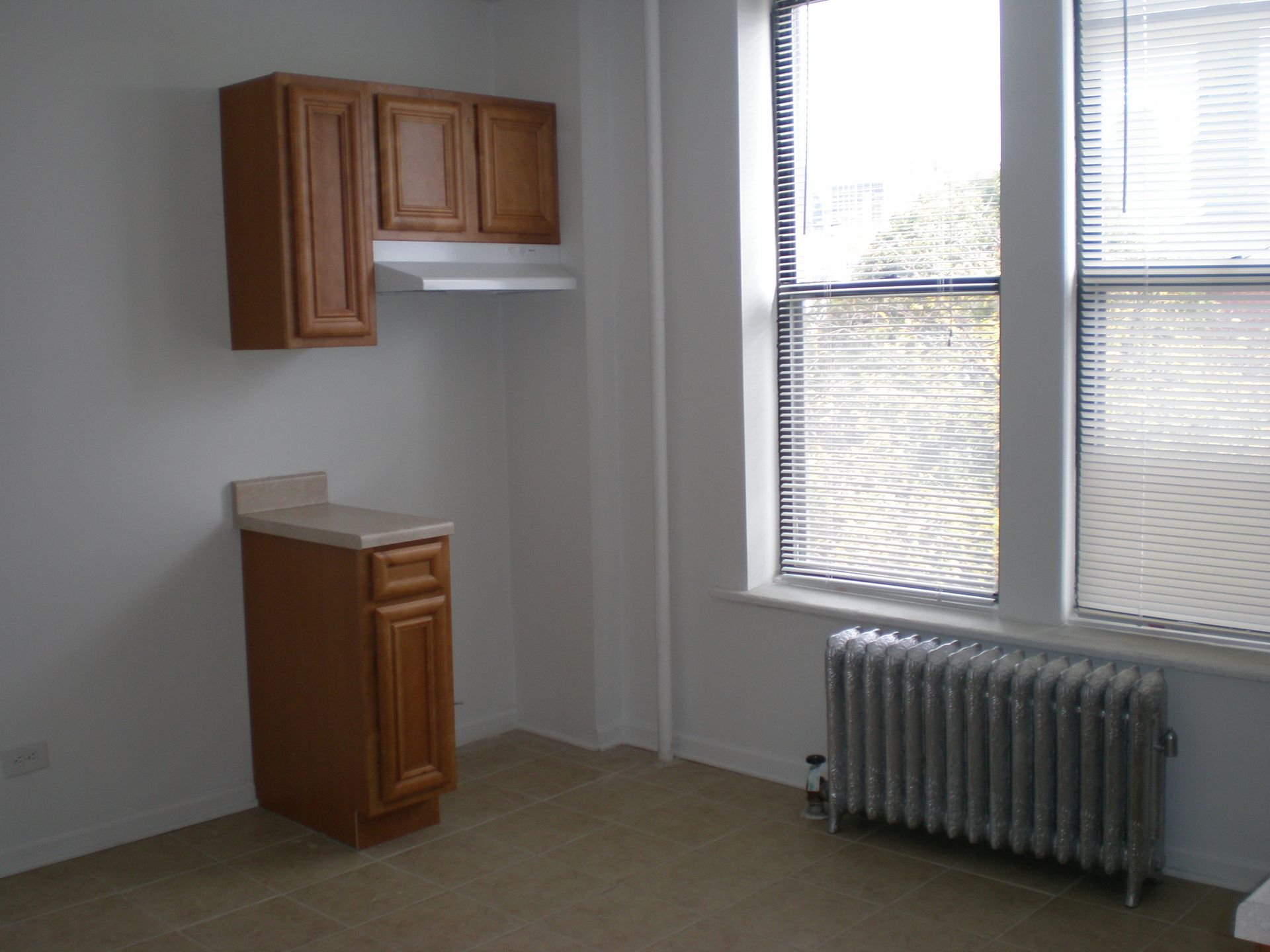 722 S Racine Ave 1200 W Lexington St Chicago, IL 60607