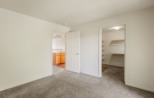 1 bed, 1 bath, $915