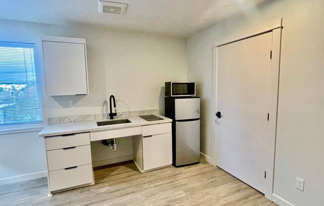 Studio, 1 bath, 250 sqft, $1,195, Unit 304
