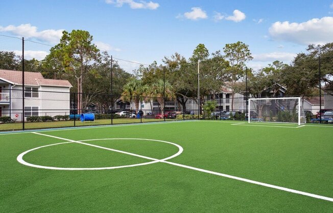 Community soccer field with end goals