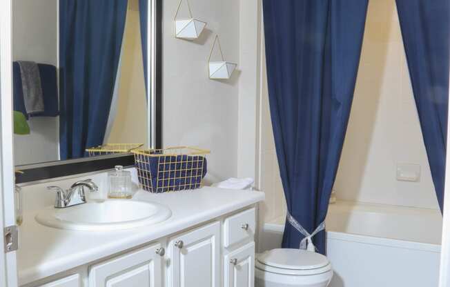 a bathroom with a toilet and a sink and a mirror