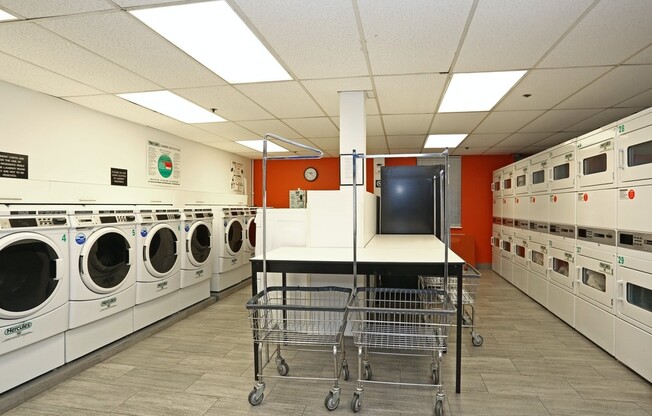 1 bed, 1 bath, $4,625, Unit 301