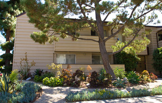 a garden with a tree in front of a building