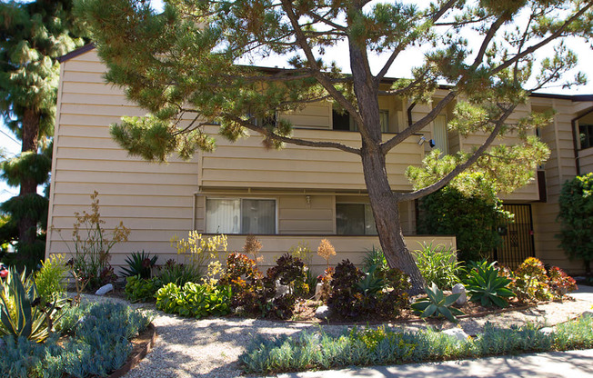 a garden with a tree in front of a building