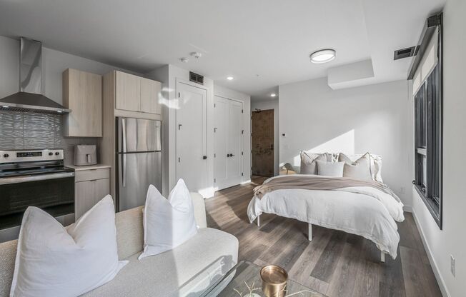 Studio, 1 bath, 382 sqft, $1,095, Unit 113