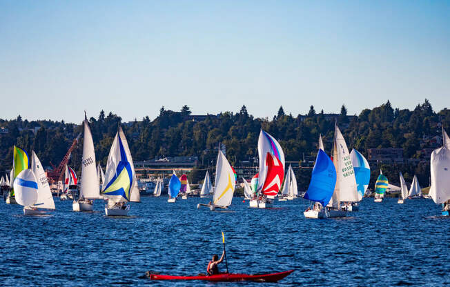 Sailing in South Lake Union near Stratus, Washington, 98121