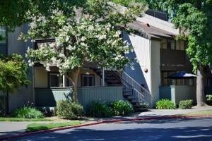 2 beds, 1 bath, 800 sqft, $1,700, Unit 253