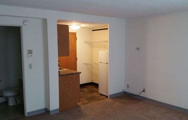Studio, 1 bath, 350 sqft, $1,115, Unit 121-2B