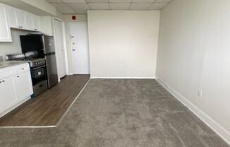 1 bed, 1 bath, 450 sqft, $1,250, Unit 704
