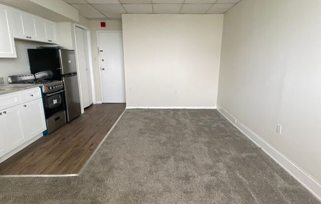 1 bed, 1 bath, 450 sqft, $1,250, Unit 704