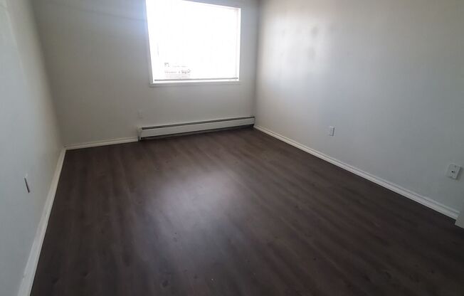 1 bed, 1 bath, $1,250