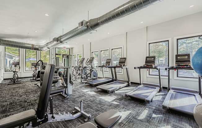 A gym with treadmills, exercise bikes, and other equipment.