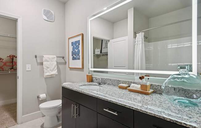A bathroom with a toilet, sink, and mirror.