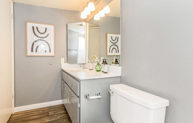 1 bed, 1 bath, 466 sqft, $1,099, Unit 1003