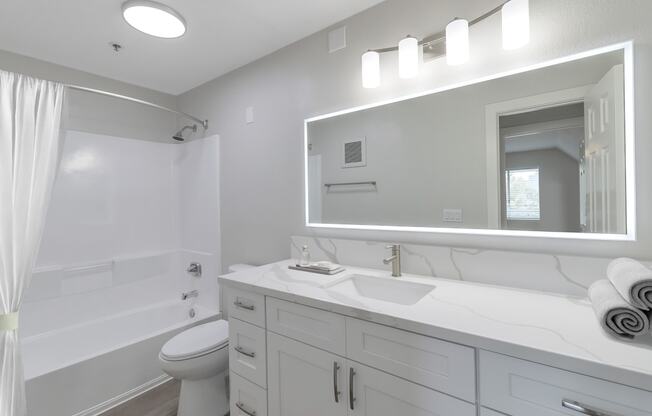 a bathroom with a large mirror and a sink and a toilet