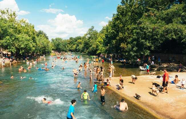 Barton Springs Municipal Pool