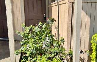 Hollister Apartment Complex