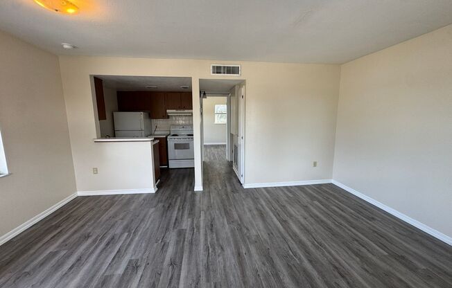 Spacious Remodeled 1BR/1BA  Apartment with Beautiful New LVT Flooring