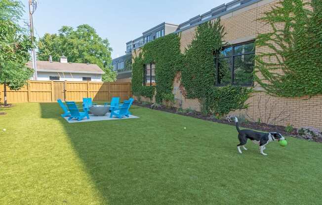 A dog is playing with a ball in a yard.