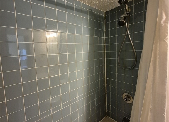 1 bed, 1.5 baths, 781 sqft, $3,000, Unit 202