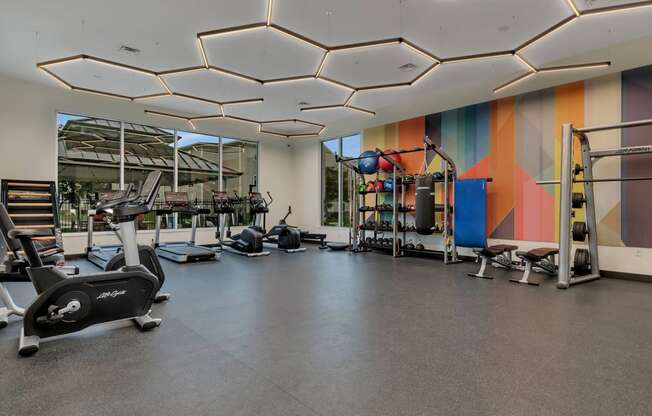 a gym with weights and exercise equipment and a colorful wall